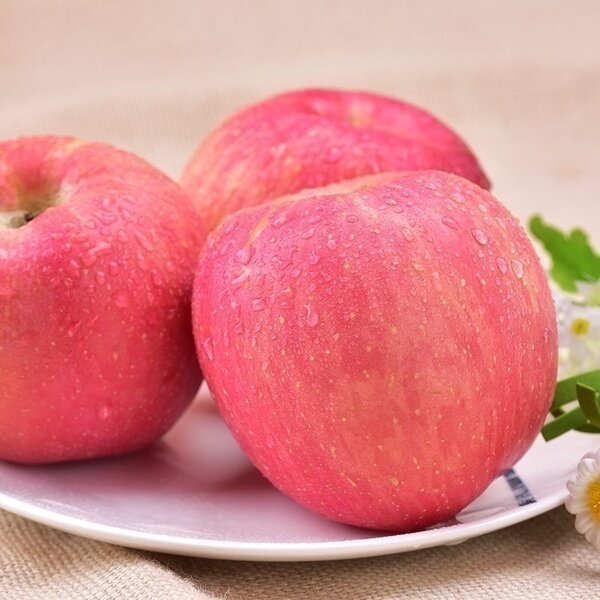 Philippines Ready Stock 50pcs Bonsai Apple Tree Seeds for Sale Organic Fruit Seeds Home Garden