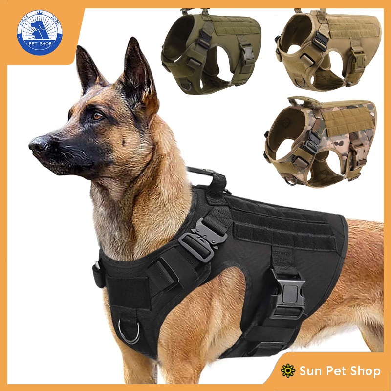 How Do You Measure A Dog For A Service Vest