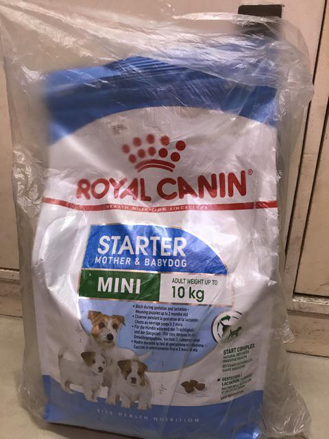 royal canin starter 3kg