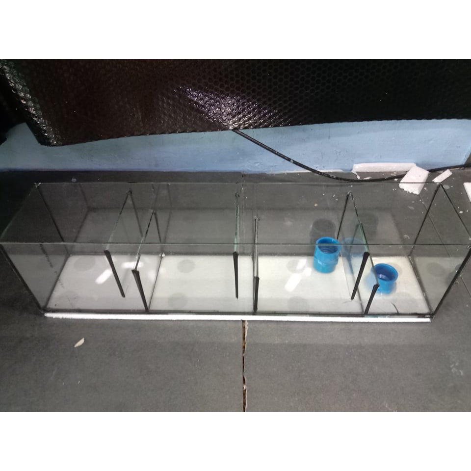 Overhead sump aquarium fish tank filter over head #2