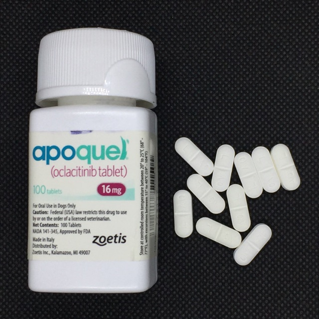 APOQUEL 16 MG SOLD per tablet P200/tab 