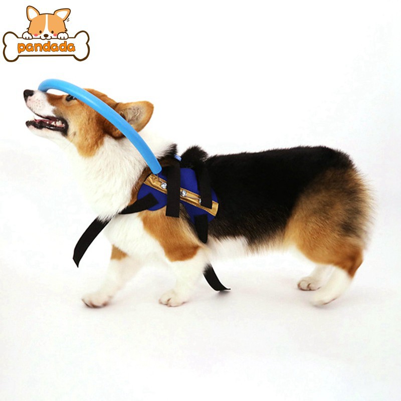 dog halo collar