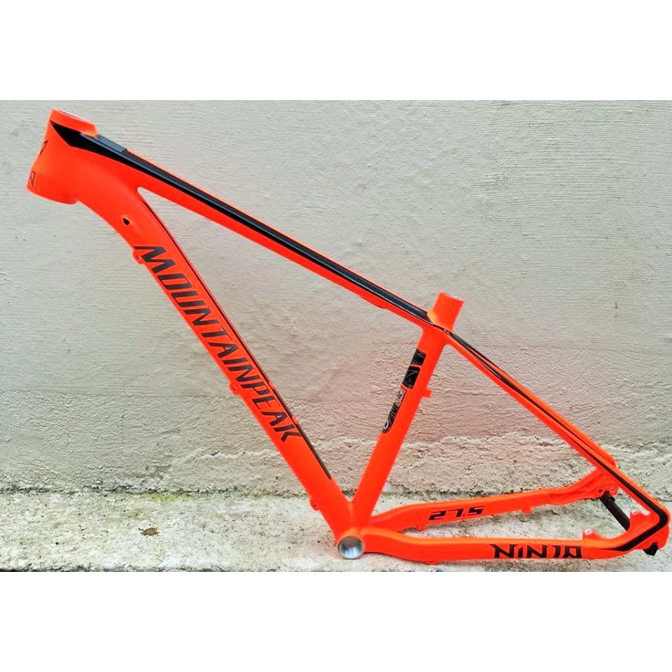 mountain peak evo frame