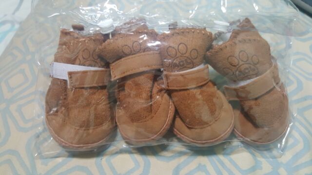 shih tzu shoes for sale
