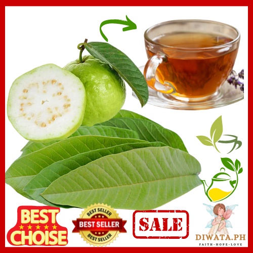 Herbal Dahon ng Bayabas Guava Leaves with Freebies Fresh Healthy 50