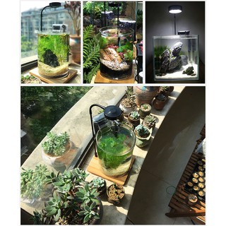 (SG STOCK) DIMMABLE LED LIGHT STAND WITH TIMER TERRARIUM LIGHT, FISH TANK LIGHT, WABI KUSA, PLANTS L #7