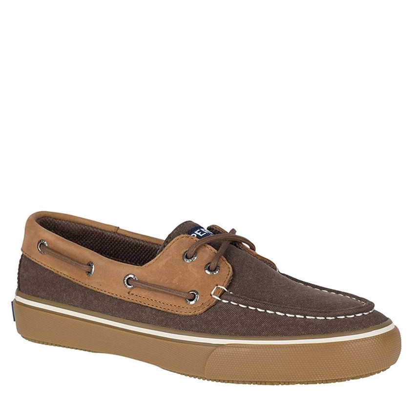 sperry canvas comfort sneakers