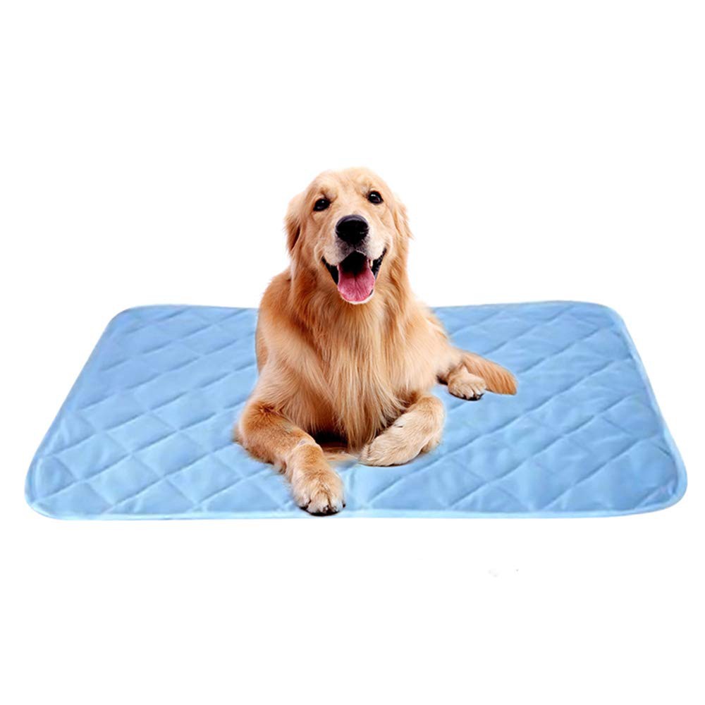cool mat dog bed
