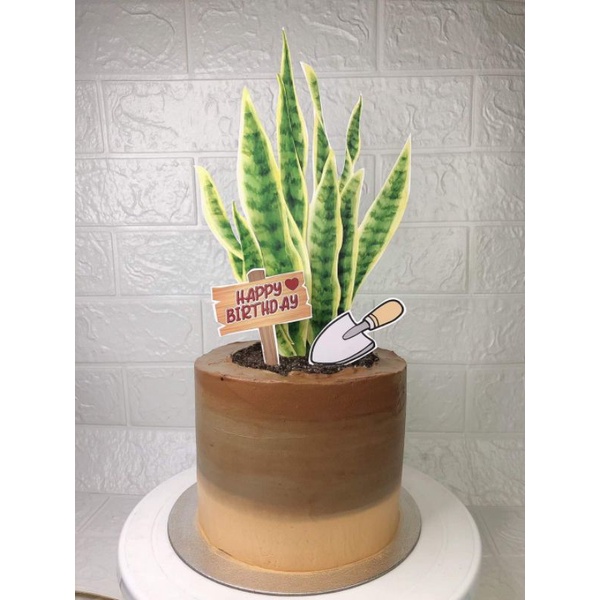 Personalize Cake Topper (plantitas Snake Plant Themed ...