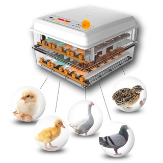 220V Eggs Incubator Brooder Bird Quail Chick Hatchery Incubator Poultry Hatcher Turner Automatic Far