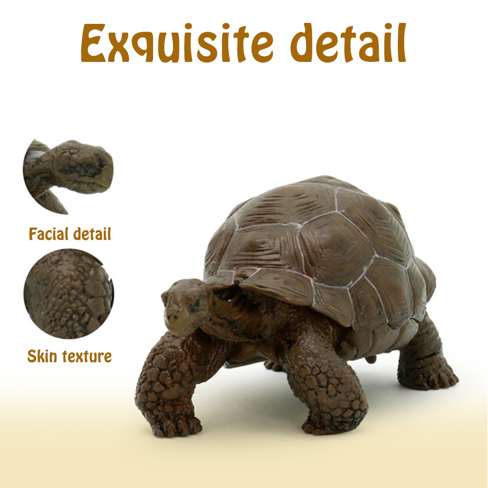 tortoise figure