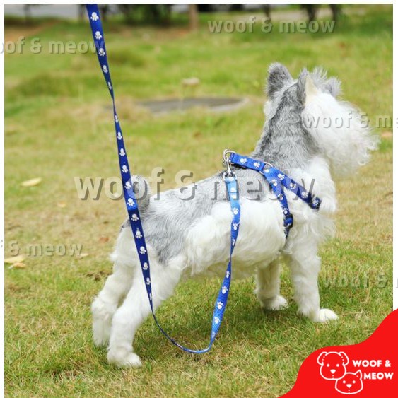 Nylon Printed Dog Leash with Harness #5