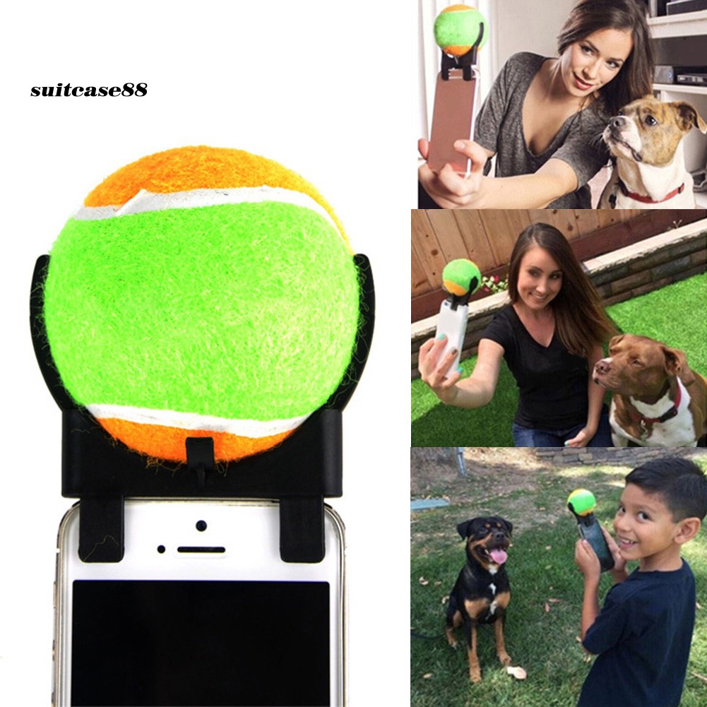 dog selfie ball