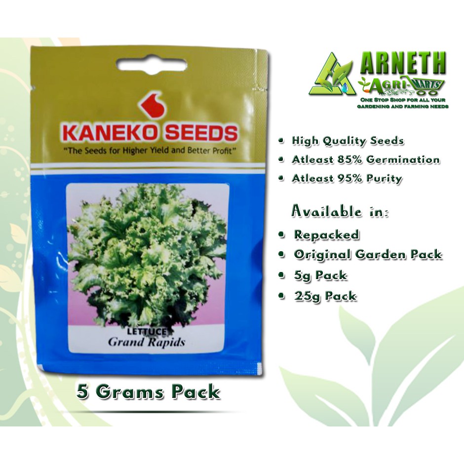 GRAND RAPIDS LETTUCE SEEDS BY KANEKO (2 GRAMS) Shopee Philippines
