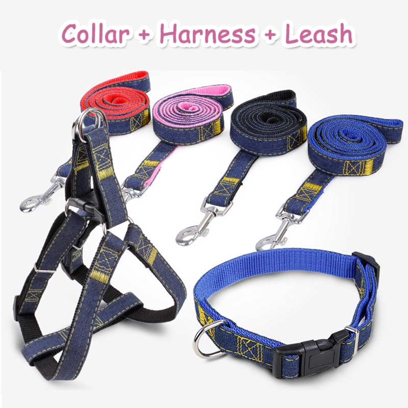 dog collar harness and leash set