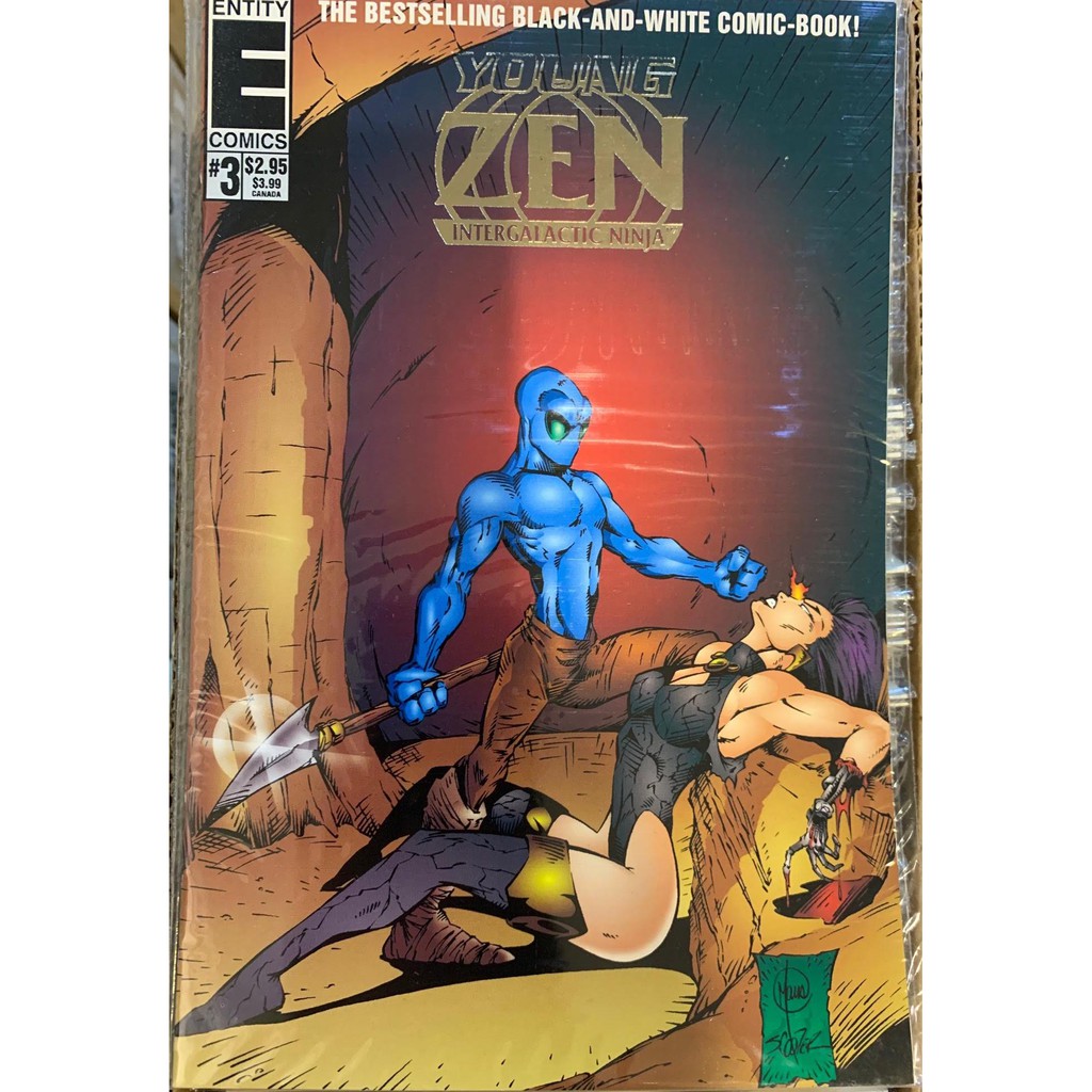 Entity Comics: 1994 - Young Zen Intergalactic Ninja #3 Foil Cover ...