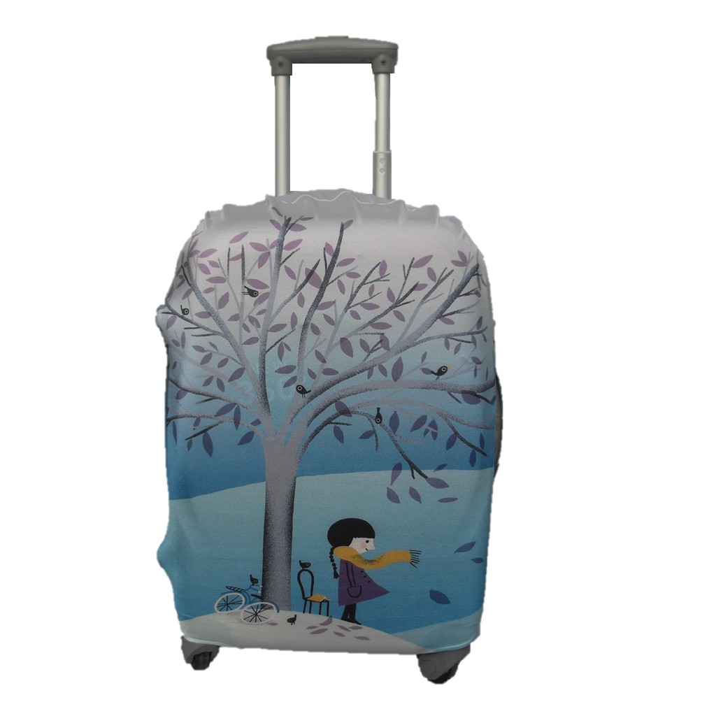 small case hand luggage