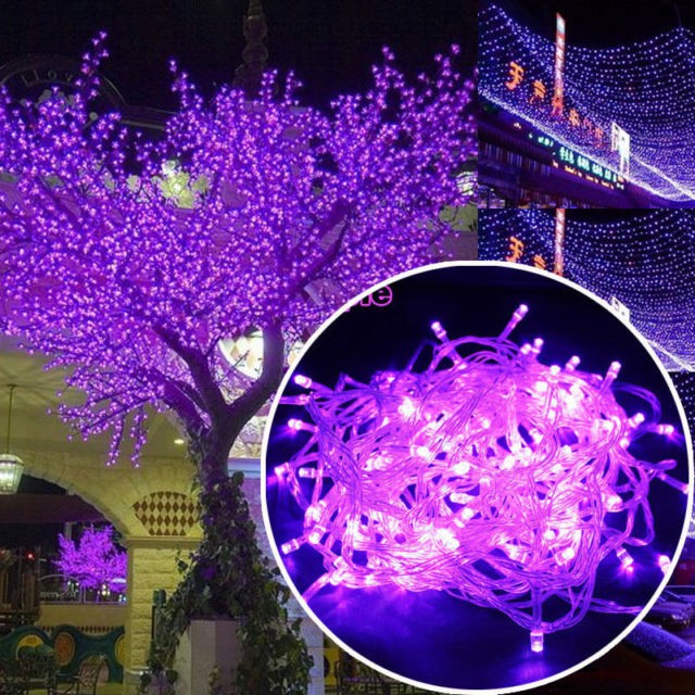 purple christmas lights