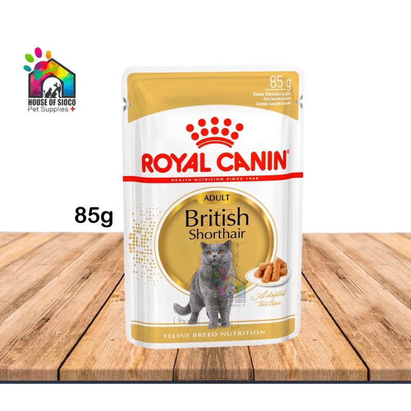 Royal Canin British Shorthair Wet Cat Food 85g | Shopee Philippines