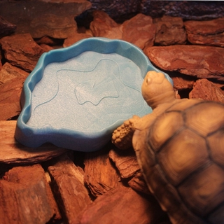 Pet Reptile Feeder Bowl Basin Feeding Tray Dish Food Water Dispenser Pot for Turtle Tortoise Lizard small dog bowl