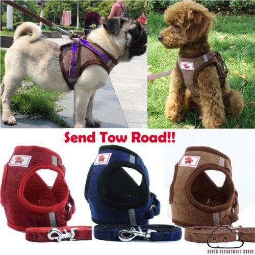 【Hot Stock】ENO-New Small Cat Dog Harness Leash Vest Pet Puppy Walking Leads Safety Control
