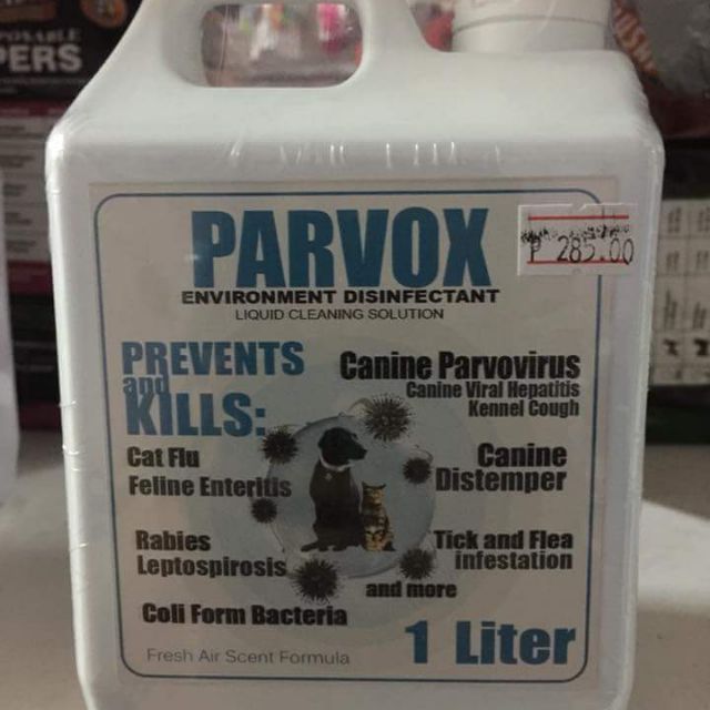 PERFORMACIDE STARBRITE Kills Parvo Disinfectant Kit For Dogs, Gallon