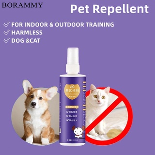 BORAMMY Pet Repellent Spray Indoor Outdoor Cat Dog Training Natural Ingredient Restricted Area 120ml