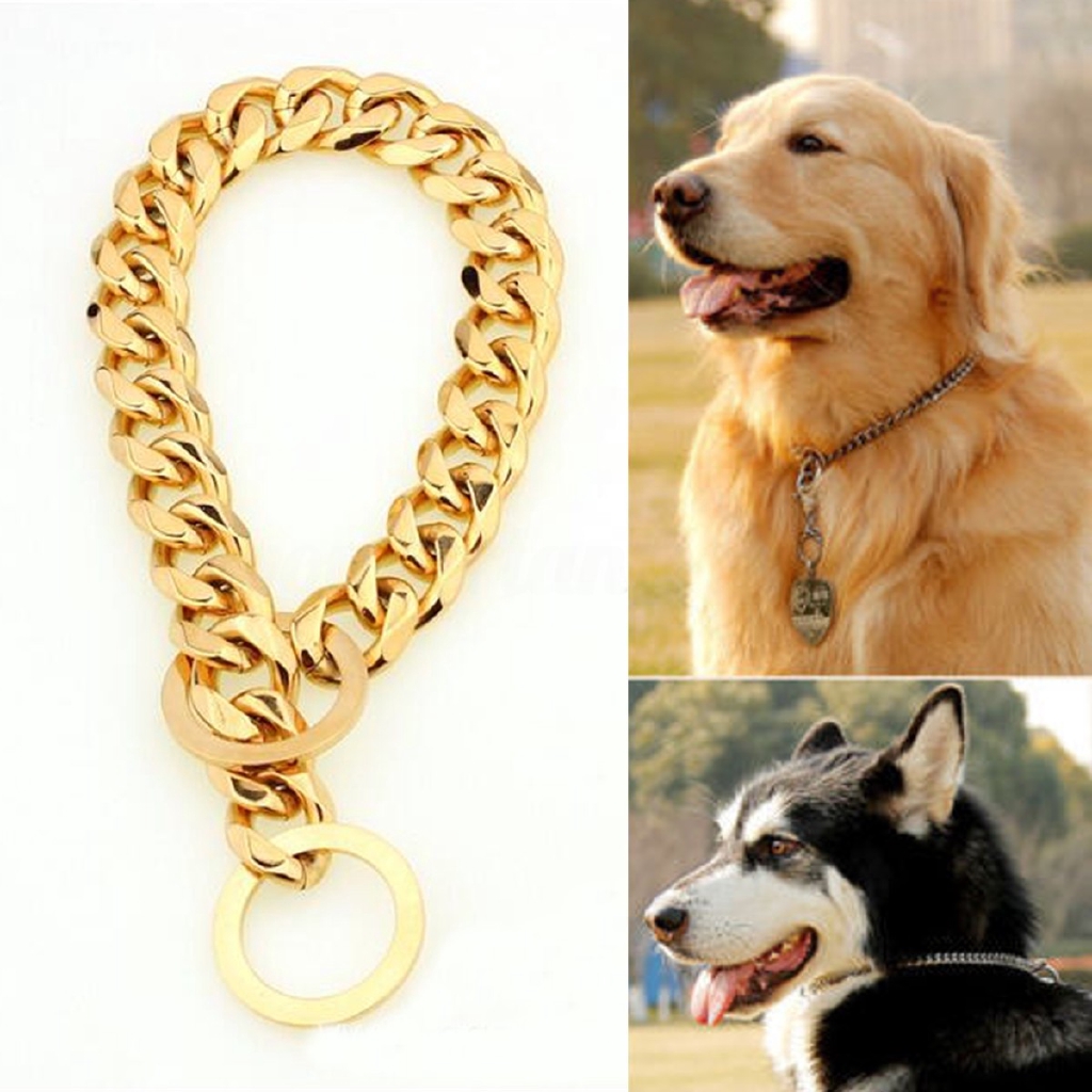 dog chain collar