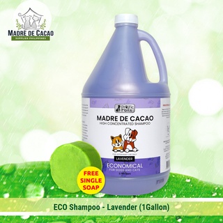 （hot）Prolific Tails 1 Gallon (3.78L) Madre De Cacao Shampoo (Lavender Scent)  Anti Mange, Anti-Funga