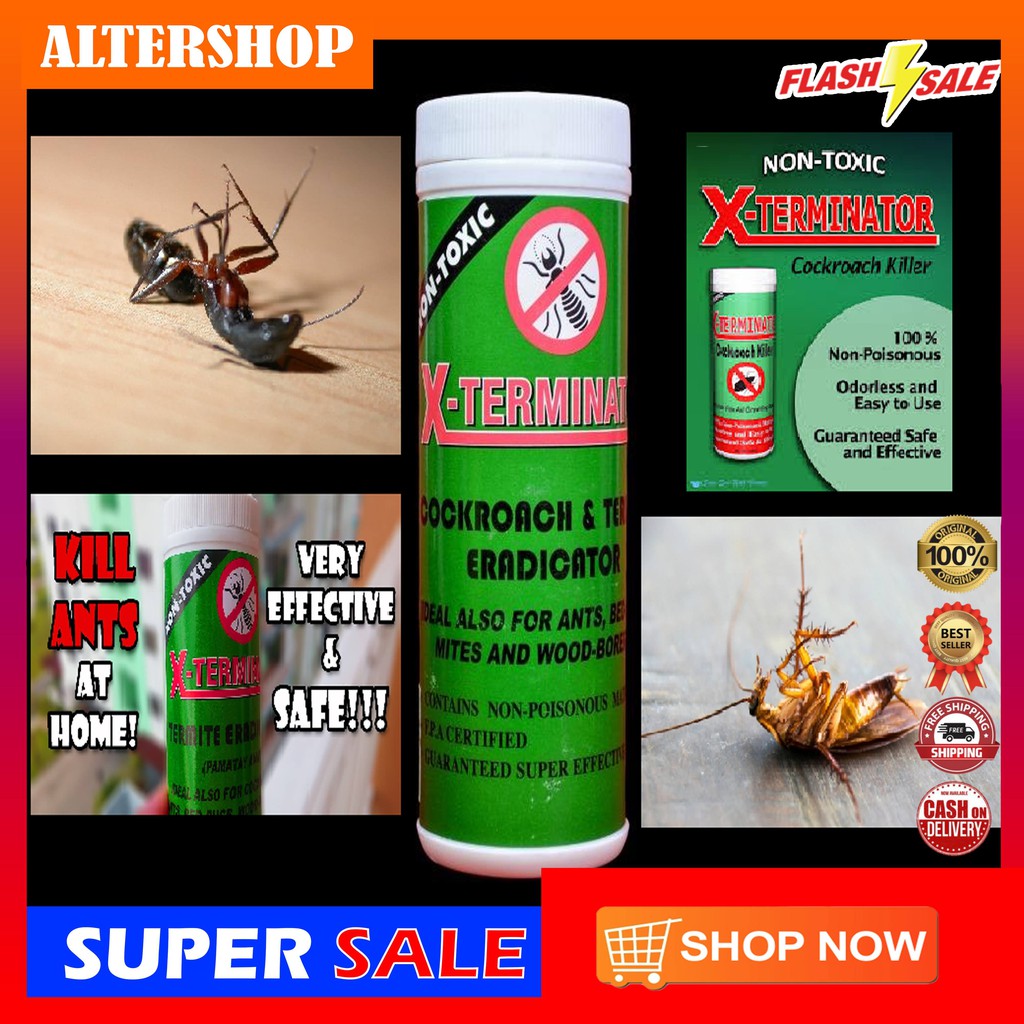 Effective Insecticide For Cockroaches – IGUNK