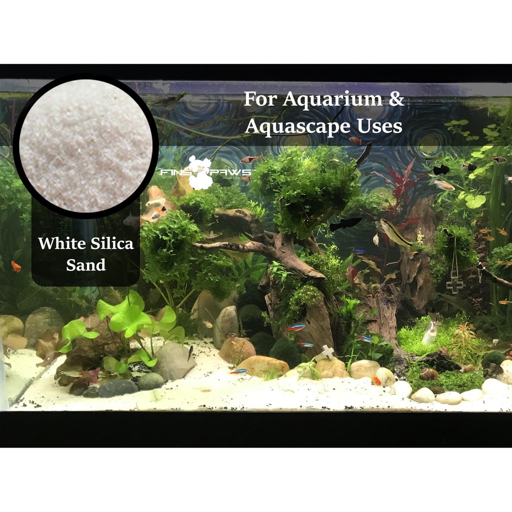 Aquarium White Silica Sand for Aquarium Tanks (1kg) Shopee Philippines