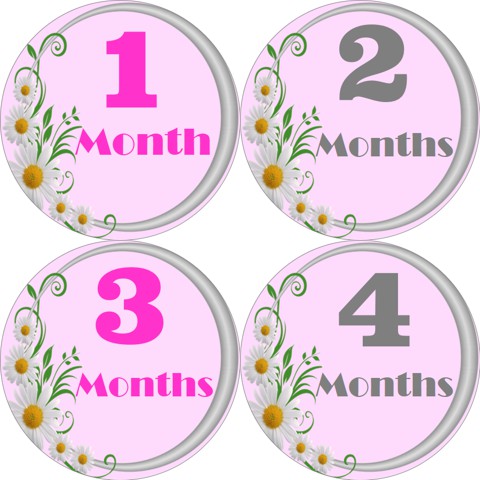 12 Months Baby Milestone Stickers 