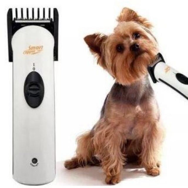 razor for dogs