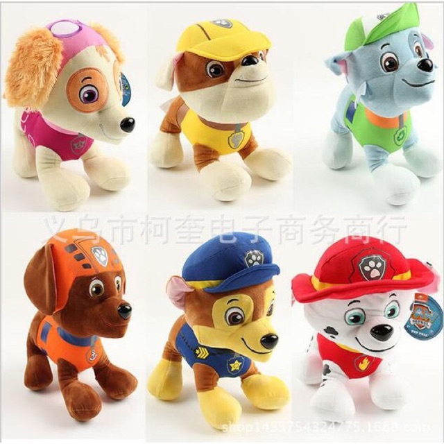 paw patrol divisoria