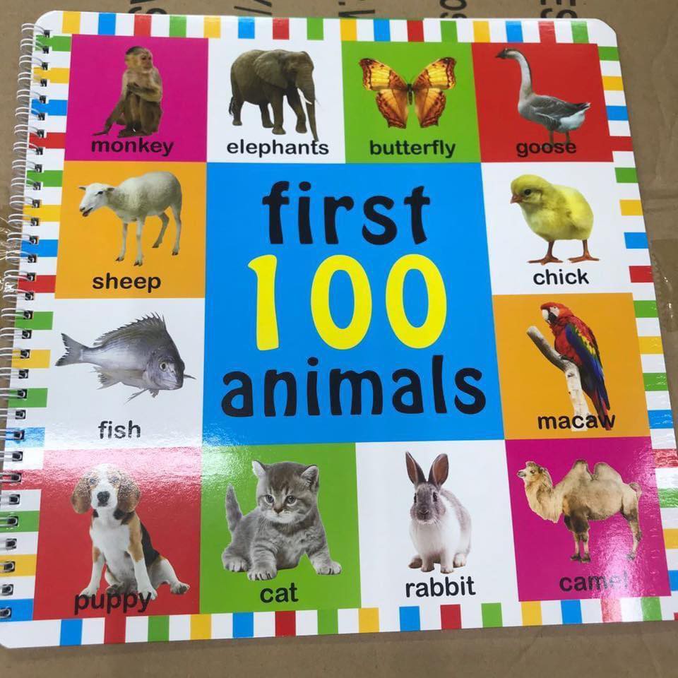 Big Board Books ANIMALS ( Bright Baby ) Board Book Children