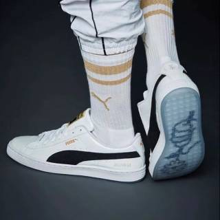 puma basket price