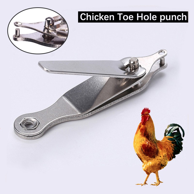 Gamefowl Rooster Chick Toe Puncher Stainless steel chicken punching