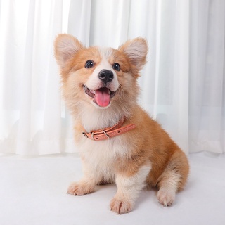 【Ready Stock】┋™Pet New Creative Meaning Safe Woven Printing Pu Leather Cat and Dog Collar Style Sim #5
