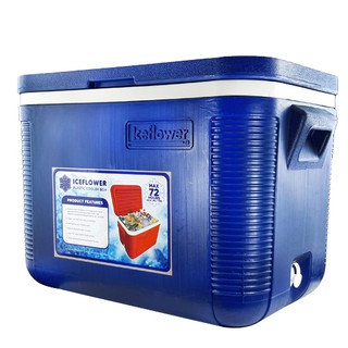 plastic cooler