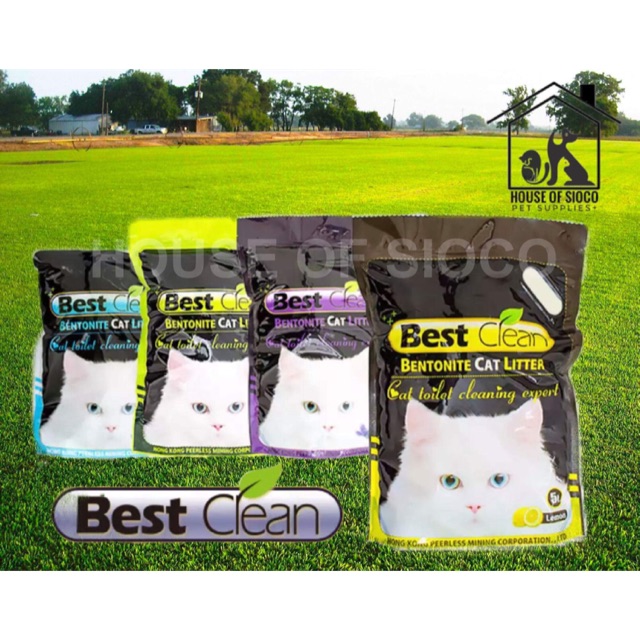 cat litter for sale near me