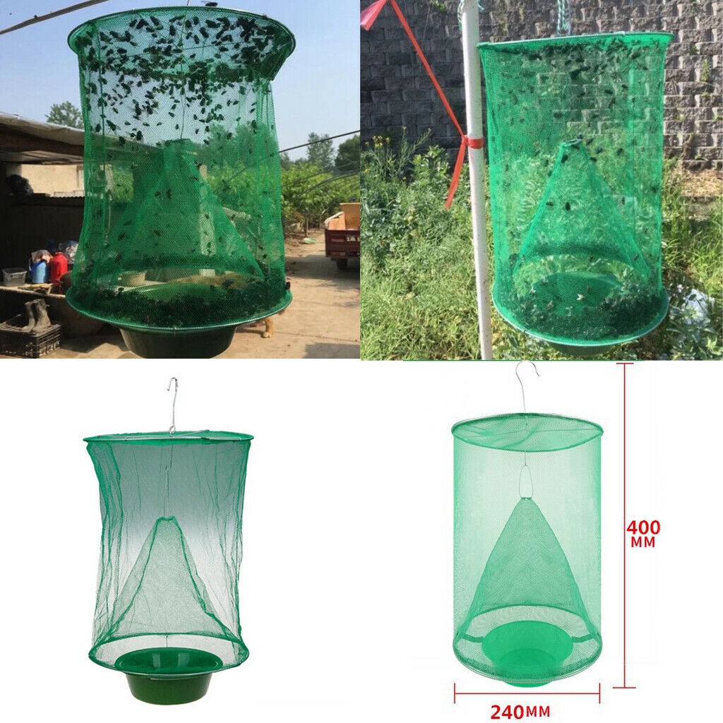 where to buy fly catcher