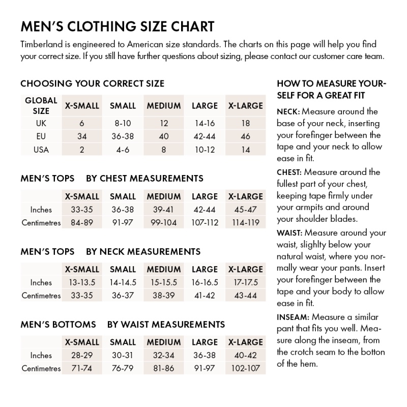 Wijzerplaat maagd per ongeluk Timberland Men'S Graphic Tee Linear Black | Shopee Philippines