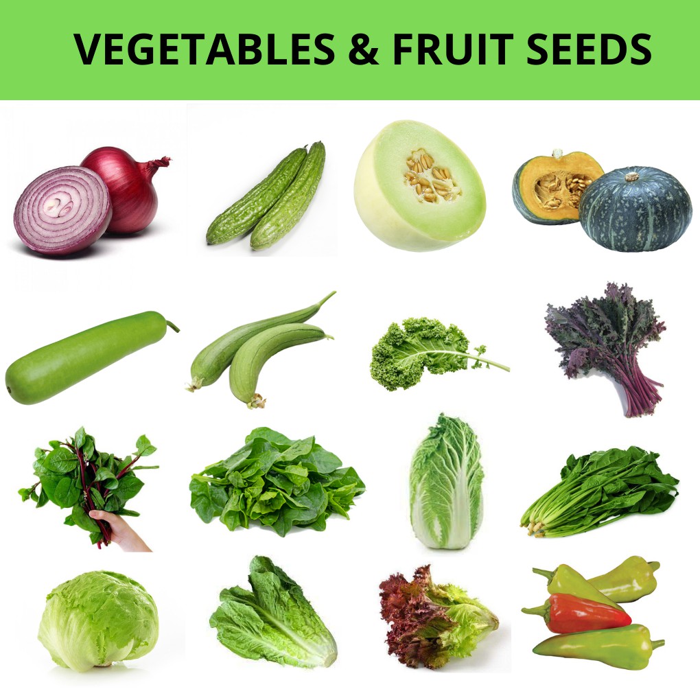 Vegetables and Fruit seeds 1st Batch Shopee Philippines