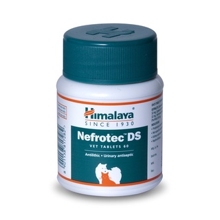 Himalaya Nefrotec DS Tablets Healthy Urinary System Per Piece/Tablet