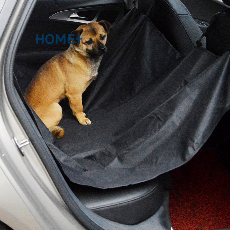 dog car boot