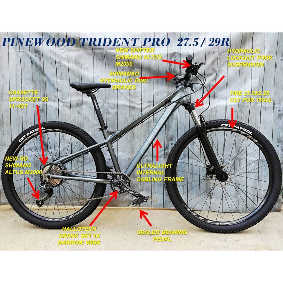 pinewood mountain bike price