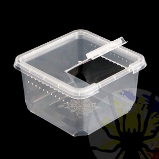 (Wholesale) Square Terrestrial Breeding Box (Medium) | Terrarium | Cage | Enclosure for Tarantula #1