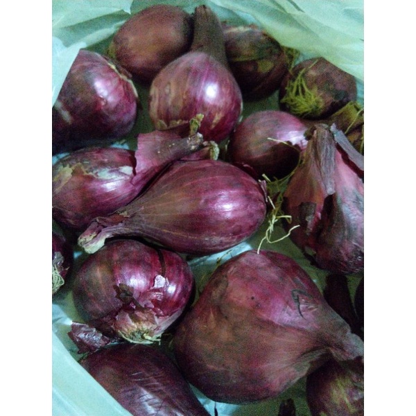 Red Union (sibuyas pula ) medium large cia per kilo from Nueva viscaya