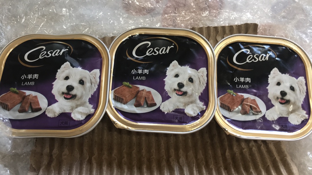cesar dog food cheapest