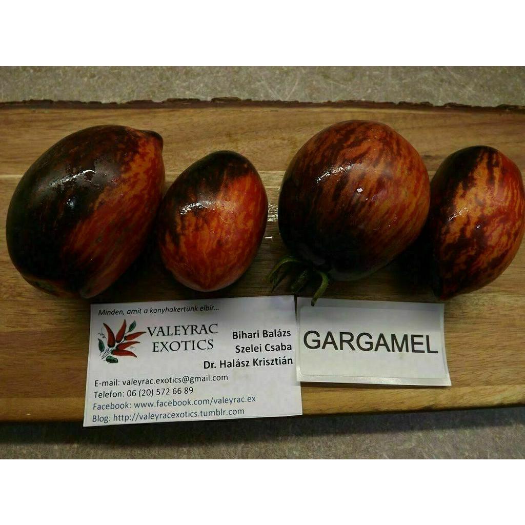 20pcs Gargamel Tomato seeds - Graines - Semillas - Heirloom Vegetable